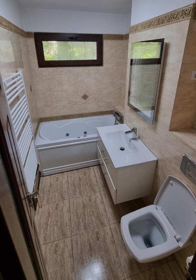 Stone Bridge Apartment Iasi Extérieur photo